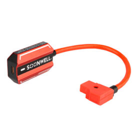 Адаптер Питания/Зарядки двусторонний SoonWell PD100 Type-C - D-Tap